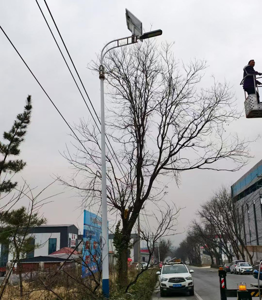 太阳能草莓视频网站免费观看直销厂家